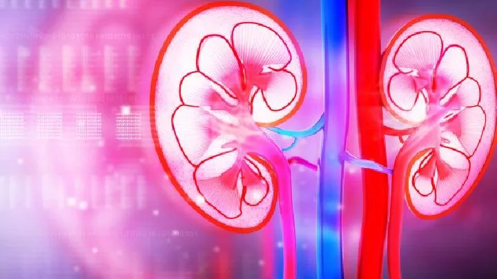 女人肾虚的症状有哪些呢