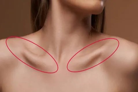 美人骨指的是什么部位