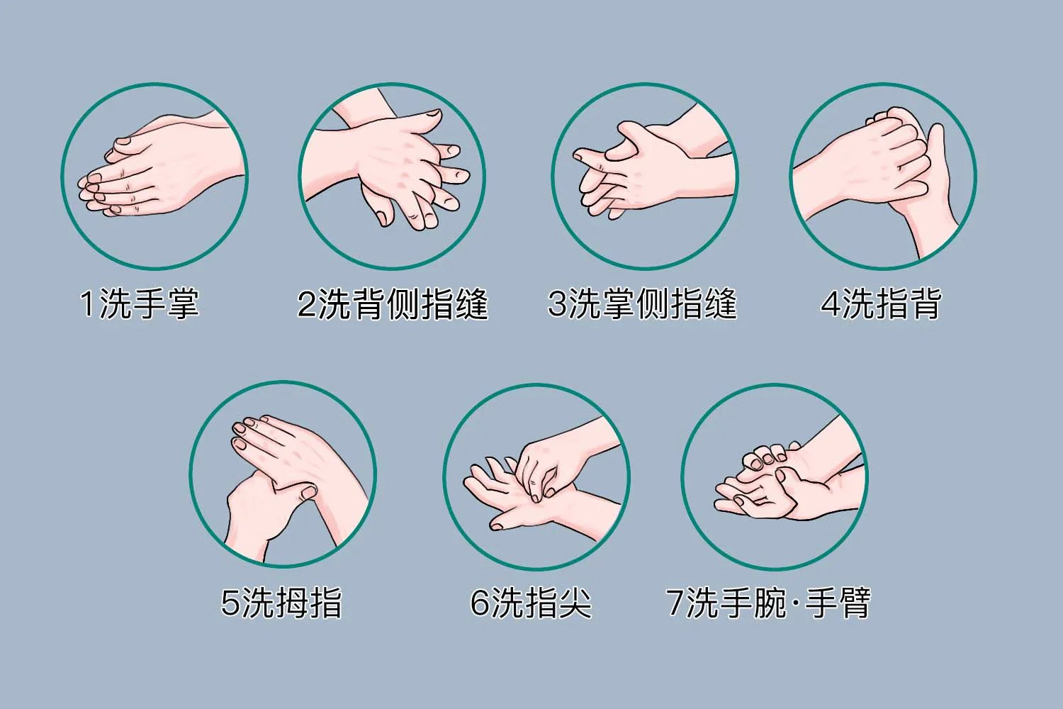 七步洗手法的流程图