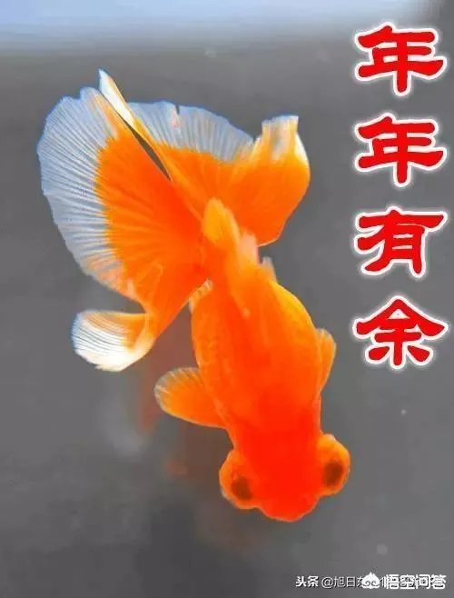 给压岁钱,到底给多少钱合适?