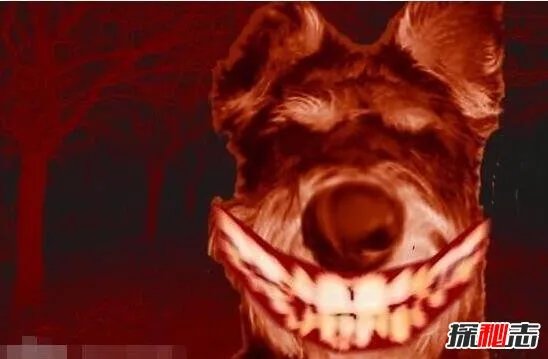 微笑的狗恐怖原图吓死人,千万不要作死去搜smile.jpg