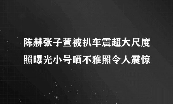 陈赫张子萱被扒车震超大尺度照曝光小号晒不雅照令人震惊