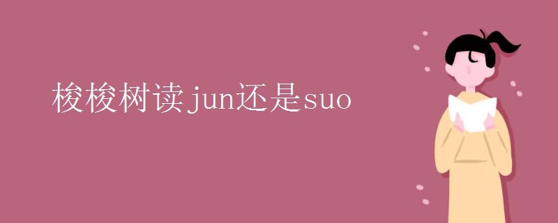梭梭树读jun还是suo