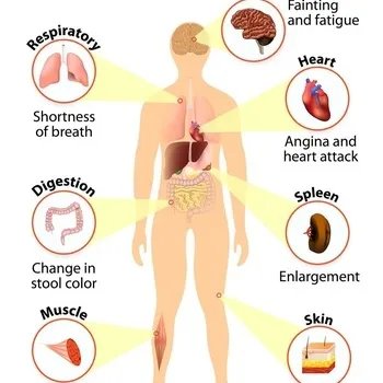 伊威高蛋白鱼粉