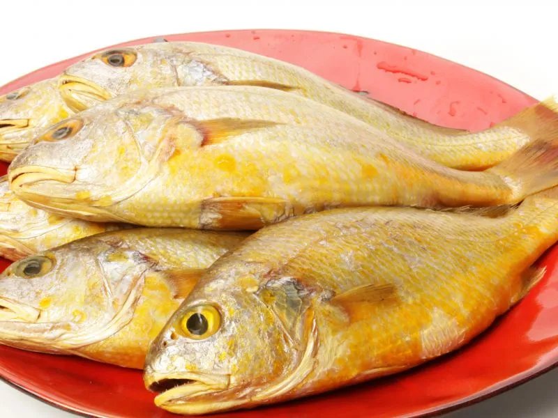 黄鱼的营养价值