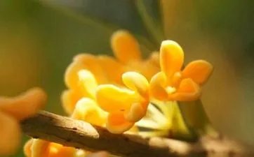 2023冬月初十是几月几号？冬月怎么保养？