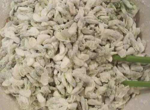 槐树花怎么吃 槐树花六种吃法推荐