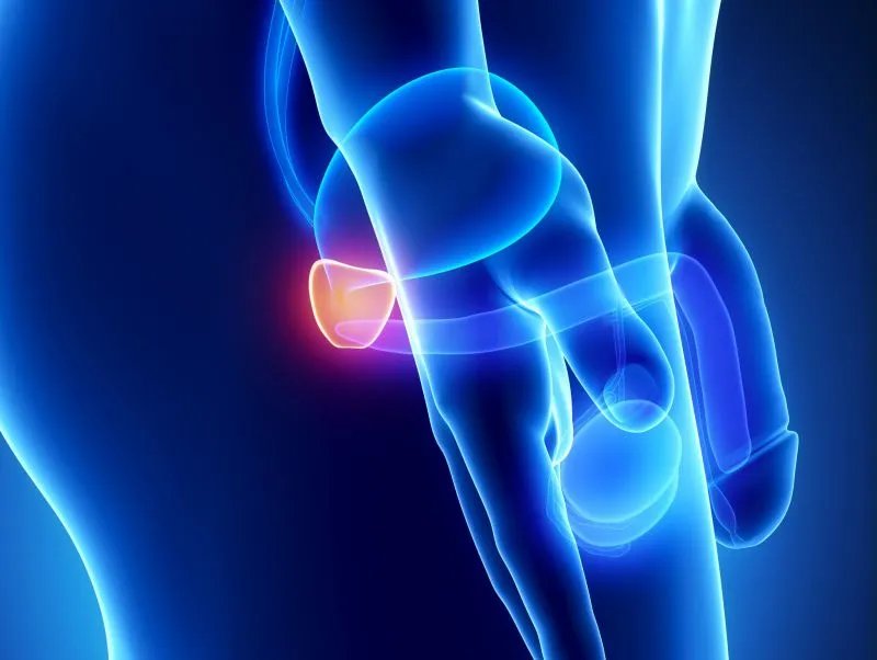 割包皮水肿多久能退