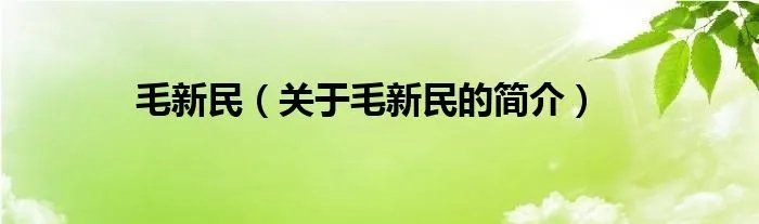 毛新民（关于毛新民的简介）