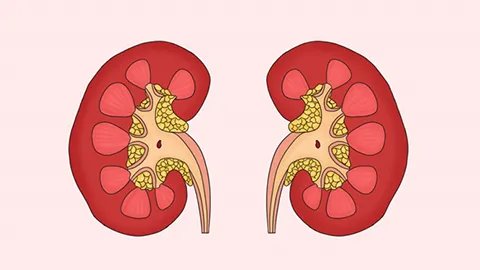 中药膏滋有什么作用