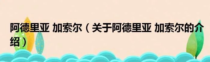 阿德里亚 加索尔（关于阿德里亚 加索尔的介绍）