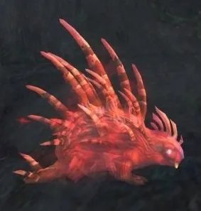 魔兽世界灵魂兽 刷新地点整理及外观点评