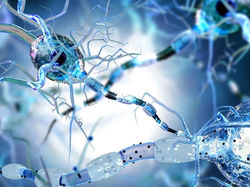 单唾液酸四己糖神经节苷脂