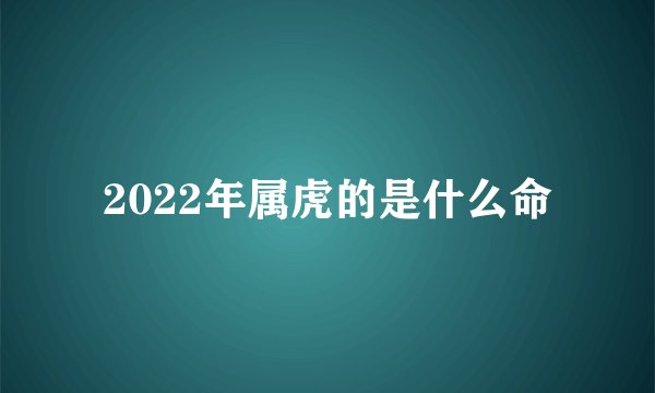 2022年属虎的是什么命