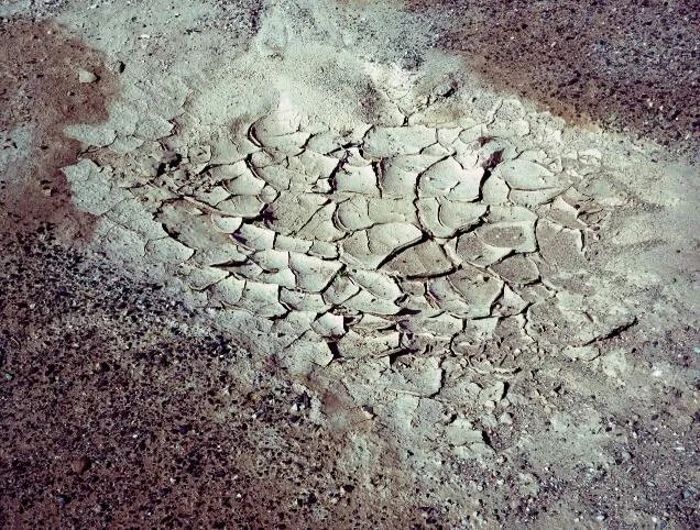 土壤污染的危害 土壤污染对人体有哪些危害