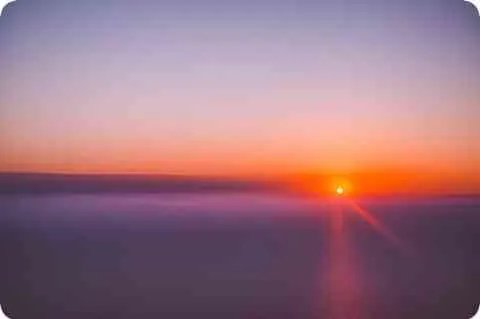 活力四射什么意思