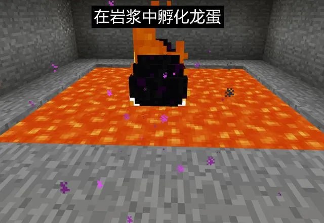 我的世界末影龙蛋怎么孵化2023