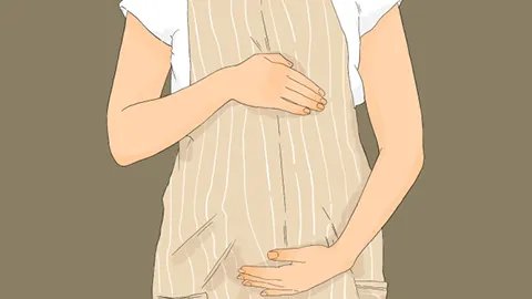 小通草的功效与作用