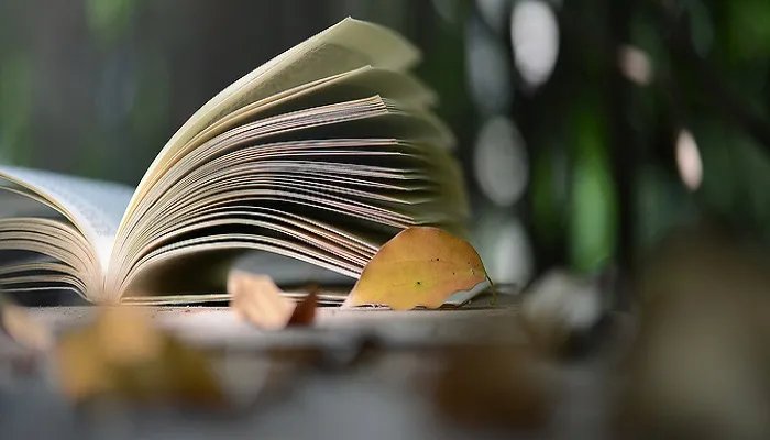 冰心原名是什么 冰心原名是什么名字