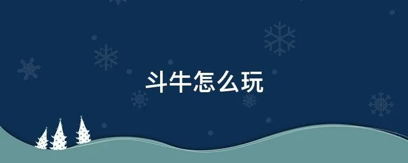 斗牛怎么玩
