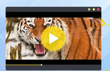 player播放器软件