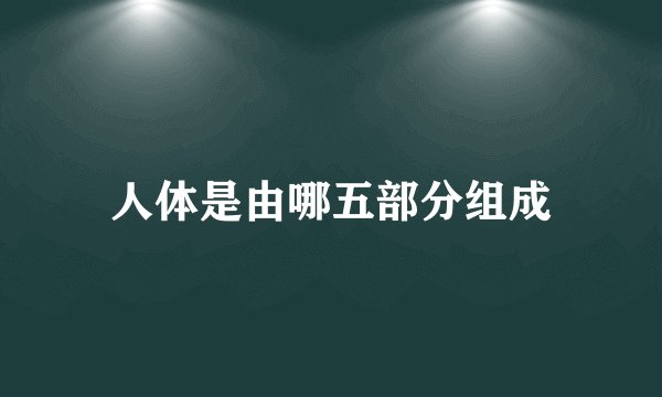 人体是由哪五部分组成