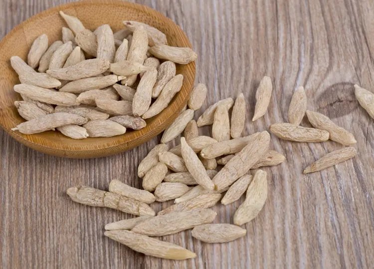 麦冬的功效与作用