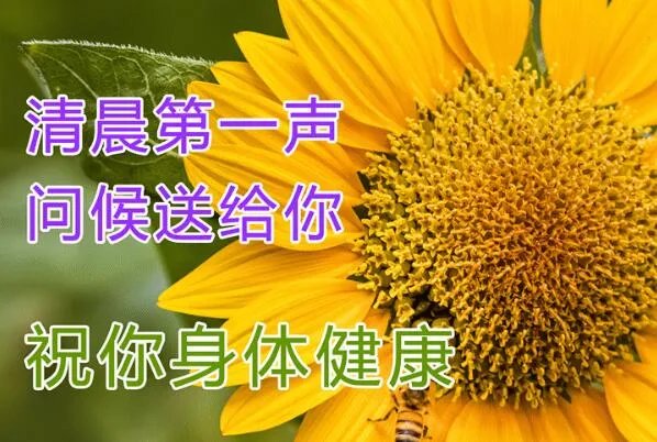 最近刚出的早上好图片:2022最新最全的早上好图片(带祝福语)