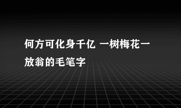 何方可化身千亿 一树梅花一放翁的毛笔字