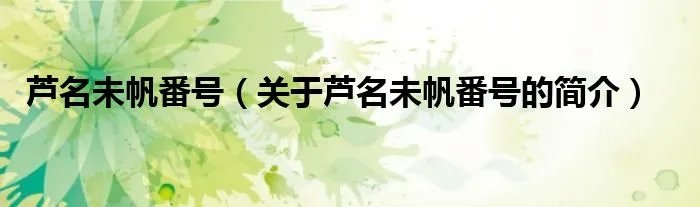 芦名未帆番号（关于芦名未帆番号的简介）