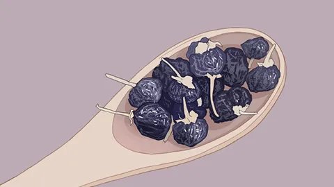 黑果枸杞功效