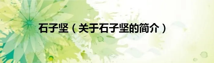 石子坚（关于石子坚的简介）