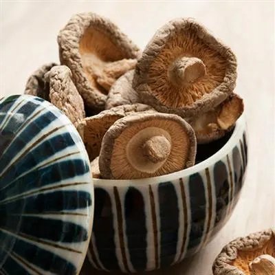 有毒的美丽?白蝴蝶有毒吗