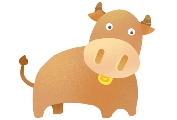 2021是属什么的 请问2021年是属什么年