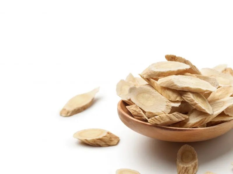 南板蓝根功效与作用