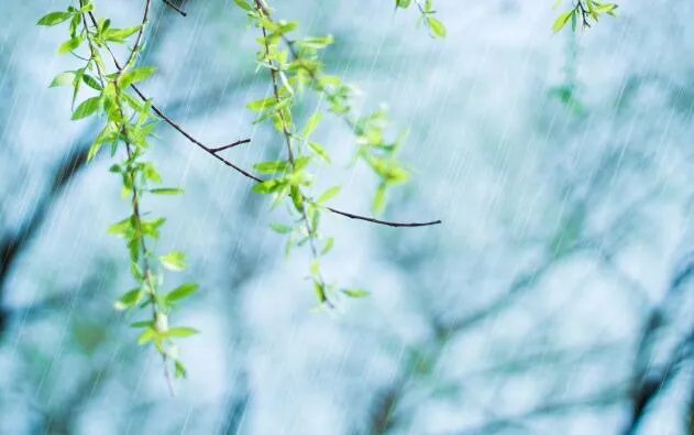 立春图片大全最新 立春节气图片唯美好看