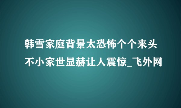 韩雪家庭背景太恐怖个个来头不小家世显赫让人震惊_飞外网