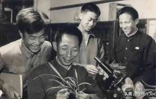 为什么袁隆平院士的儿子都如此优秀?