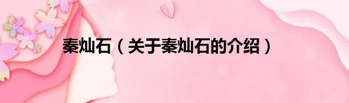 秦灿石（关于秦灿石的介绍）