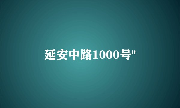 延安中路1000号