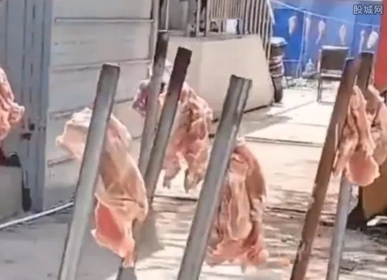 上海一垃圾桶现百斤肉 官方紧急提醒：勿食！肉已变质