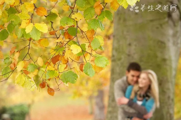 游泳入门教程循序渐进就好