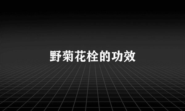 野菊花栓的功效