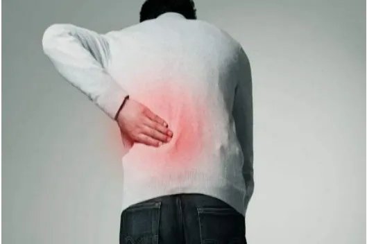 胰腺后背疼痛位置图