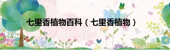 七里香植物百科(七里香植物)