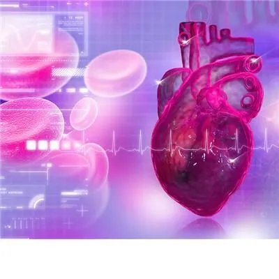 房颤手术有哪些