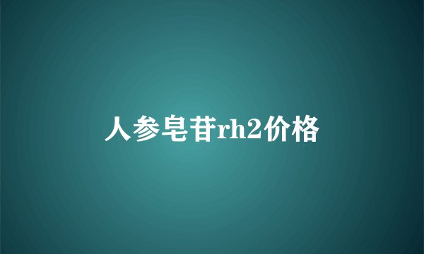 人参皂苷rh2价格