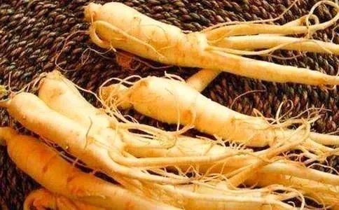 偷吃人参果读后感