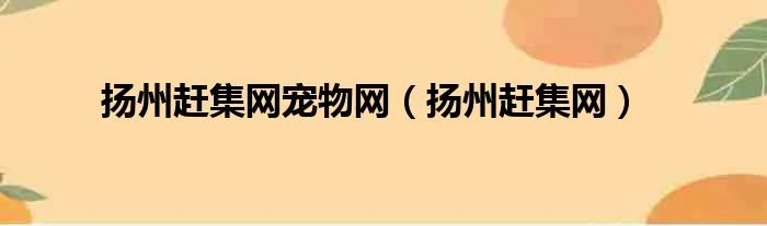 扬州赶集网宠物网（扬州赶集网）