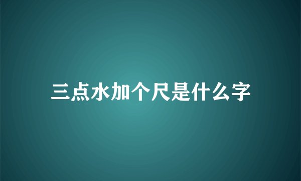 三点水加个尺是什么字